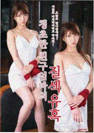 献鱼电视剧第二季 免费观看